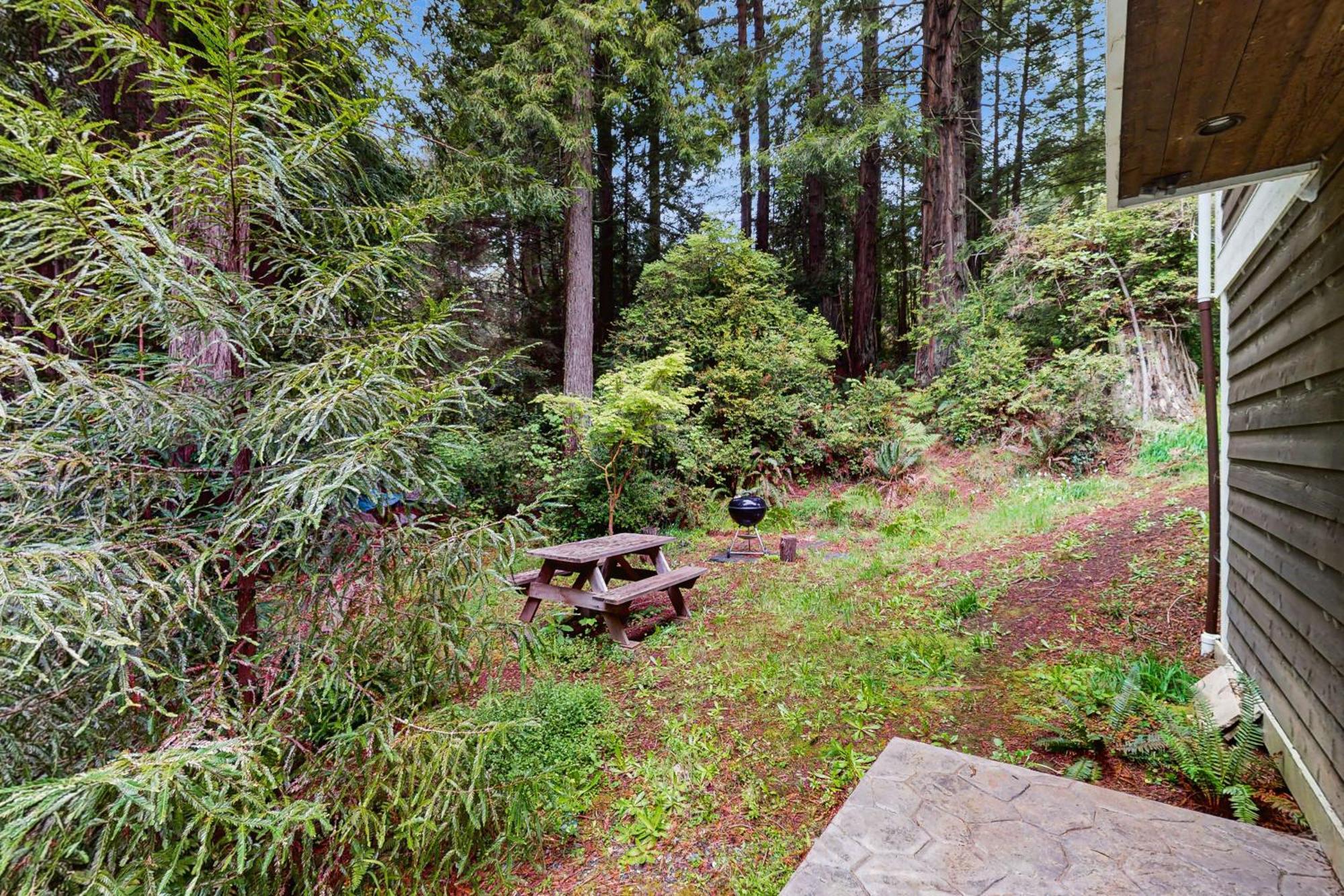 Serene Redwood Retreat Arcata Ngoại thất bức ảnh