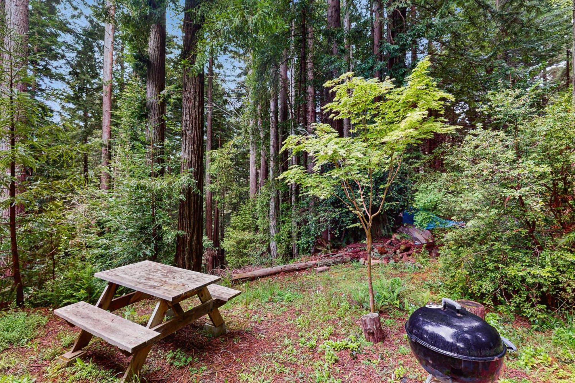 Serene Redwood Retreat Arcata Ngoại thất bức ảnh